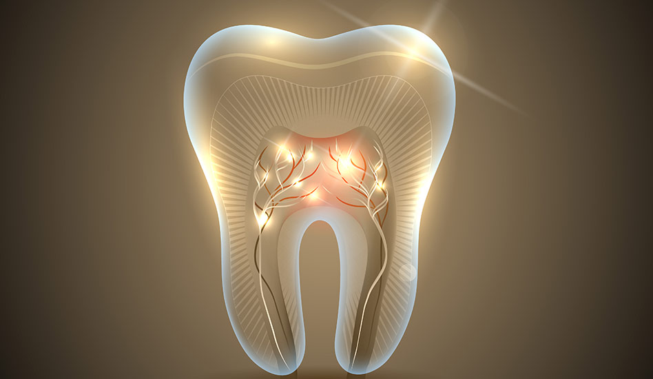 Burnaby Root Canal Therapy | Dawson Dental Centre | General & Family Dentist